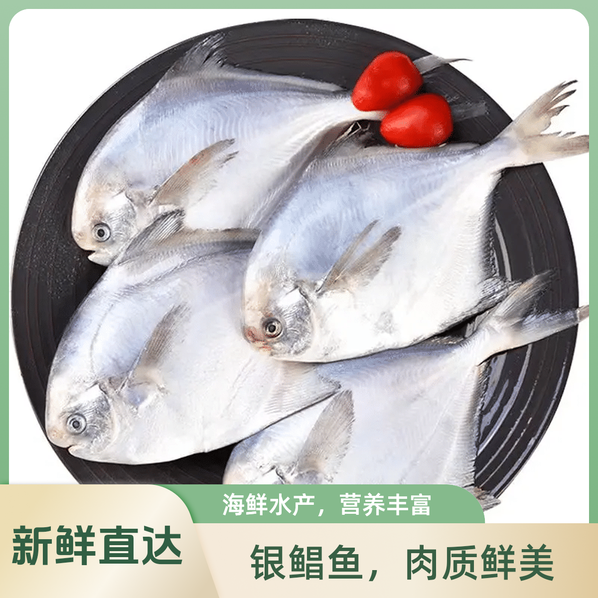 6斤野生金鲳鱼银鲳鱼鲜美肉嫩刺少