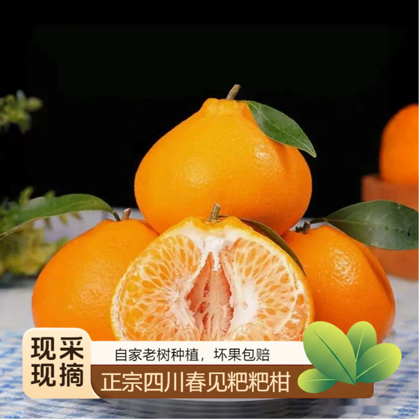 【产地直发】四川春见耙耙柑新鲜多汁自然熟当季手剥水果