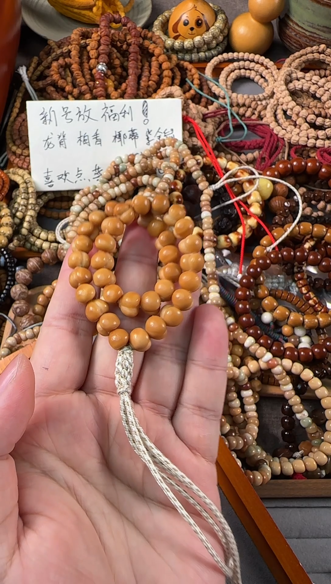 吊坠龙脊菩提龙脊屁桃精挑10