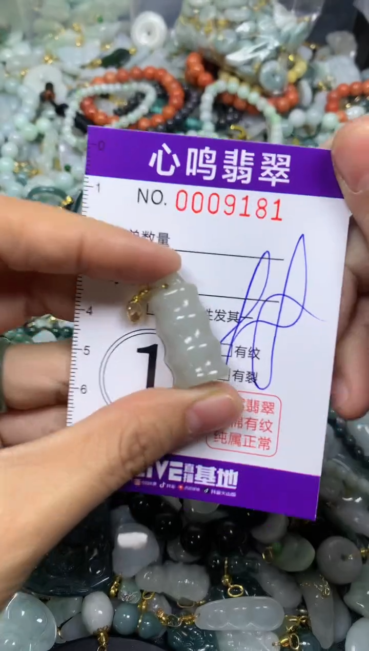 【闪购商品】翡翠颈饰未镶嵌闪购009181