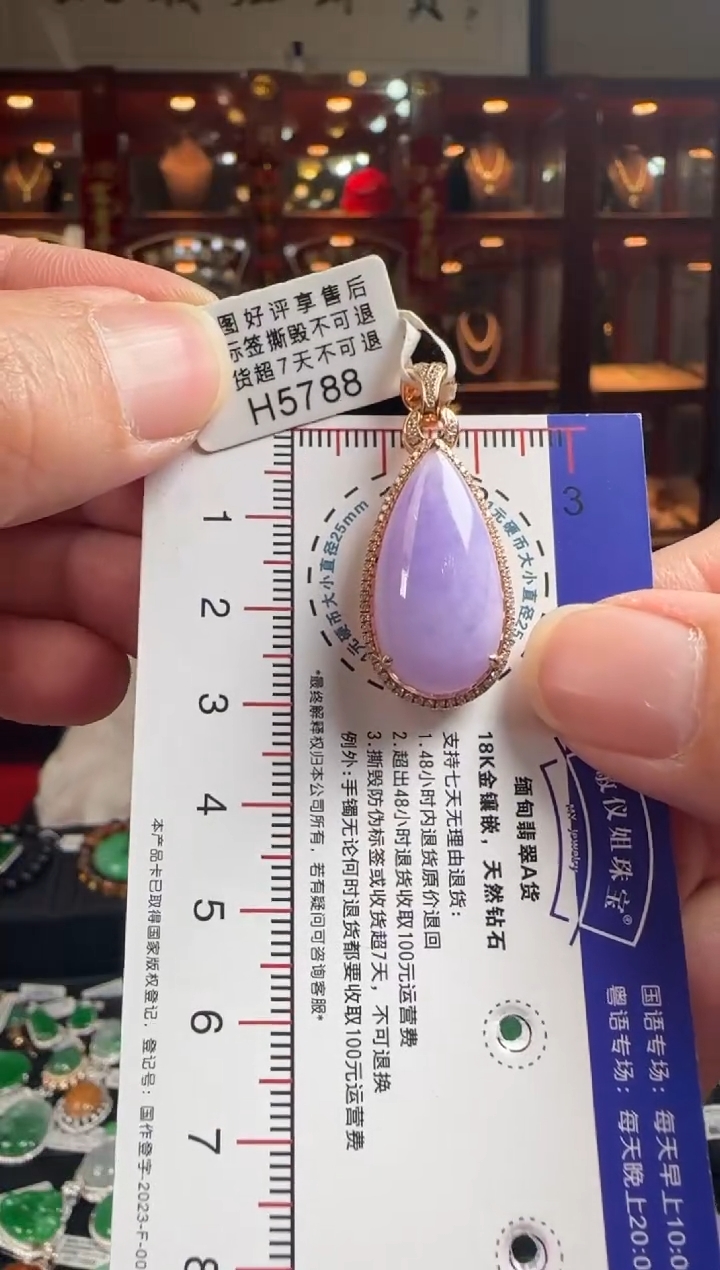 【闪购商品】翡翠颈饰18K金镶嵌H5788 紫滴水