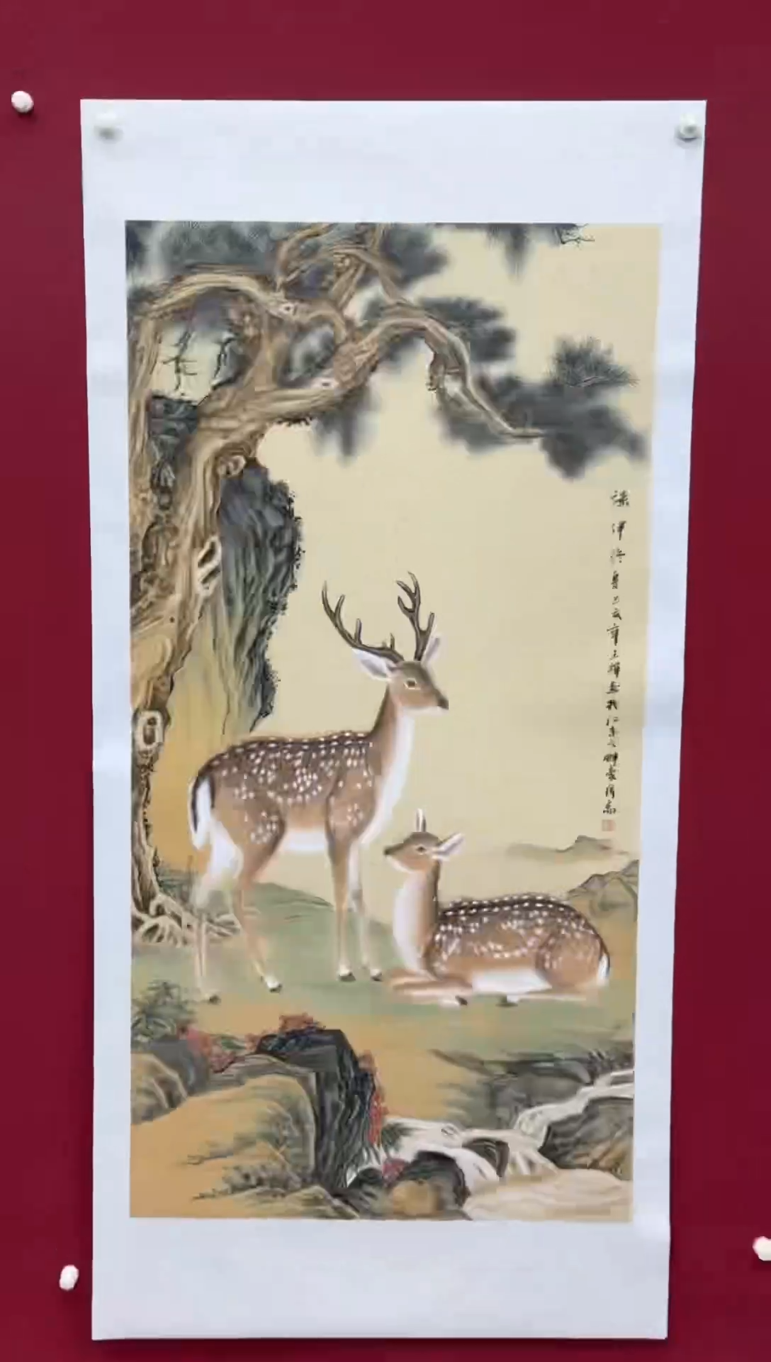 国画国画绘画山水花鸟