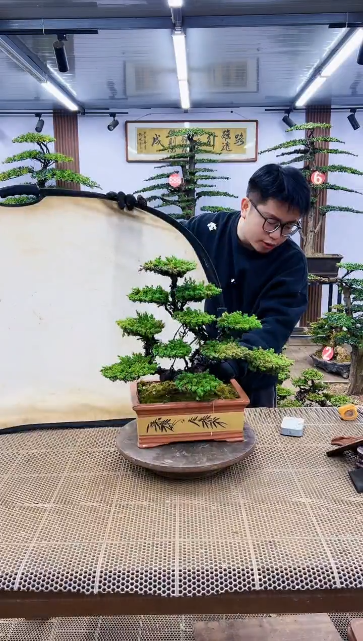 【闪购商品】一物一拍，所见即所得