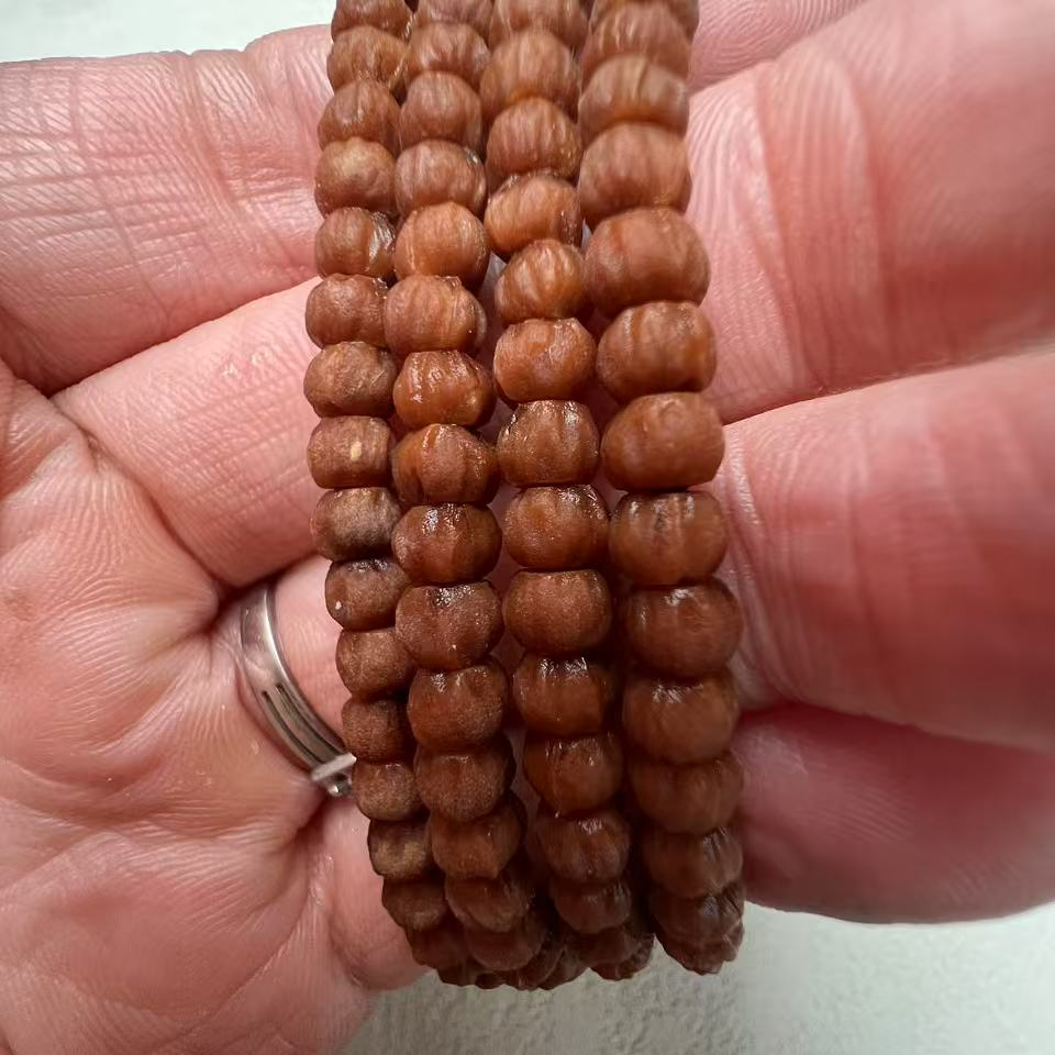 百香籽原桩小金豆