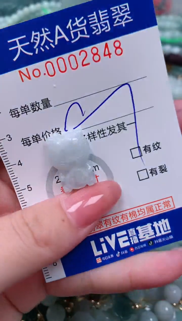 【闪购商品】翡翠颈饰未镶嵌00002848