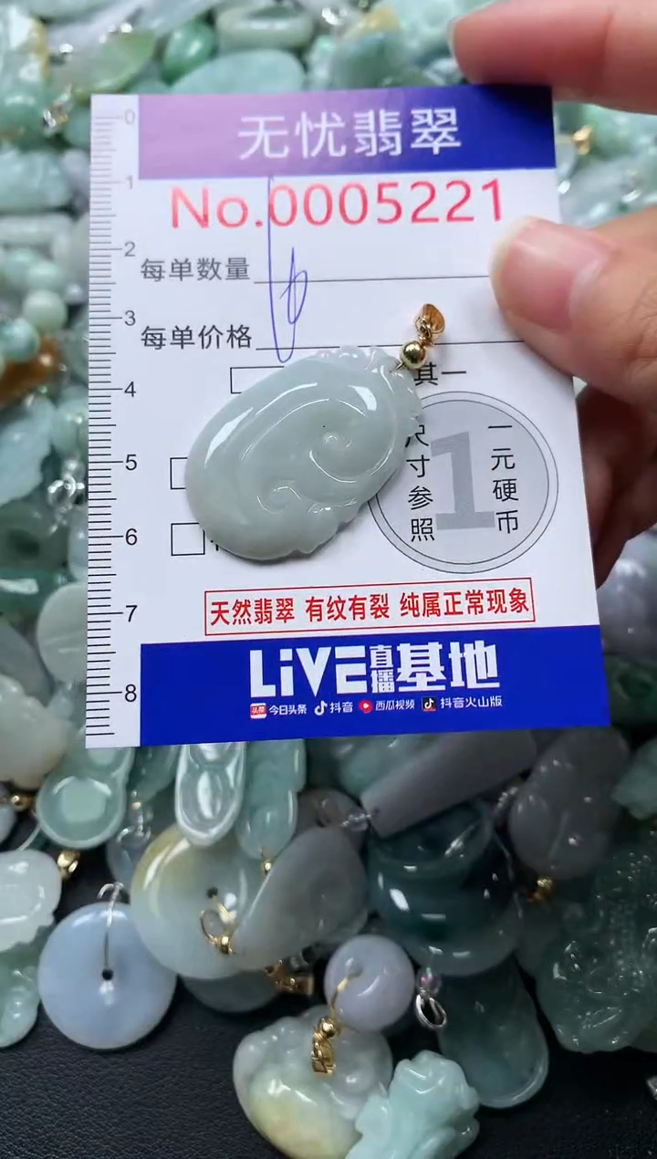 颈饰未镶嵌翡翠5221