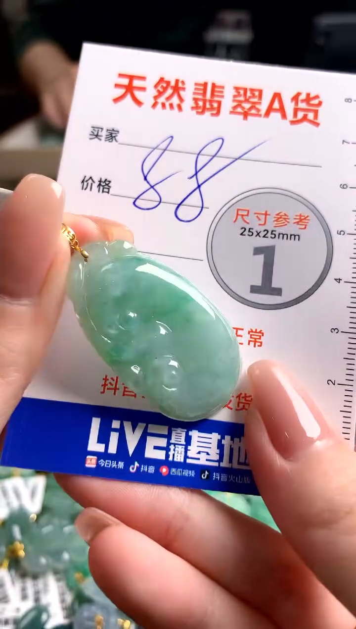 【闪购商品】翡翠颈饰18K金镶嵌13009137