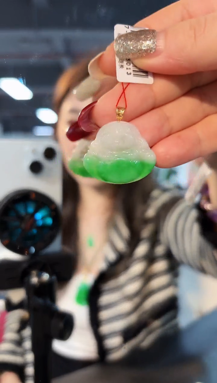 【闪购商品】翡翠颈饰18K金镶嵌缅料A货/多样性发货/一件