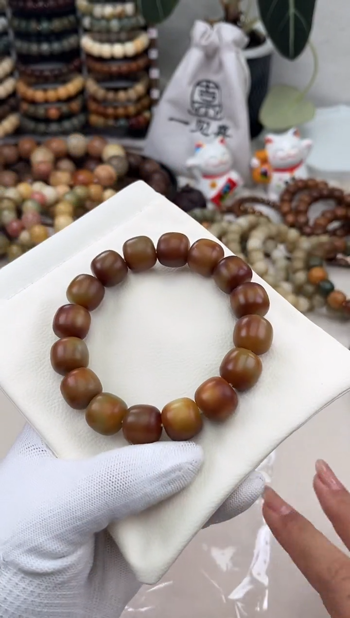 菩提根/象牙果手串a479卡16 干磨