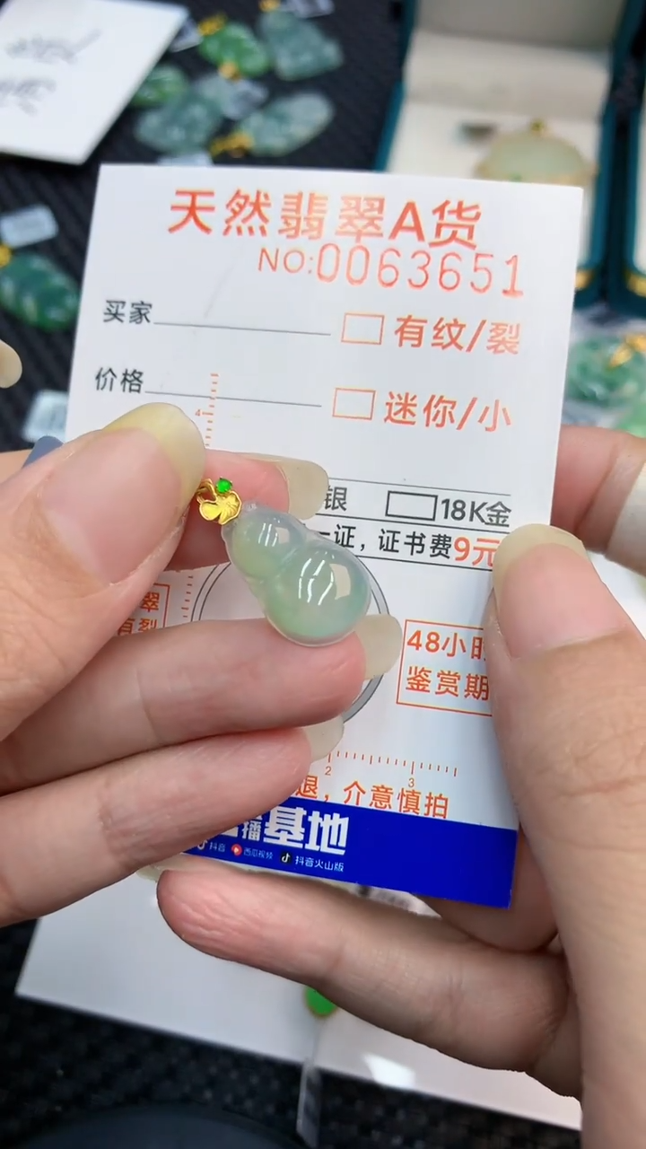 【闪购商品】翡翠颈饰18K金镶嵌            8