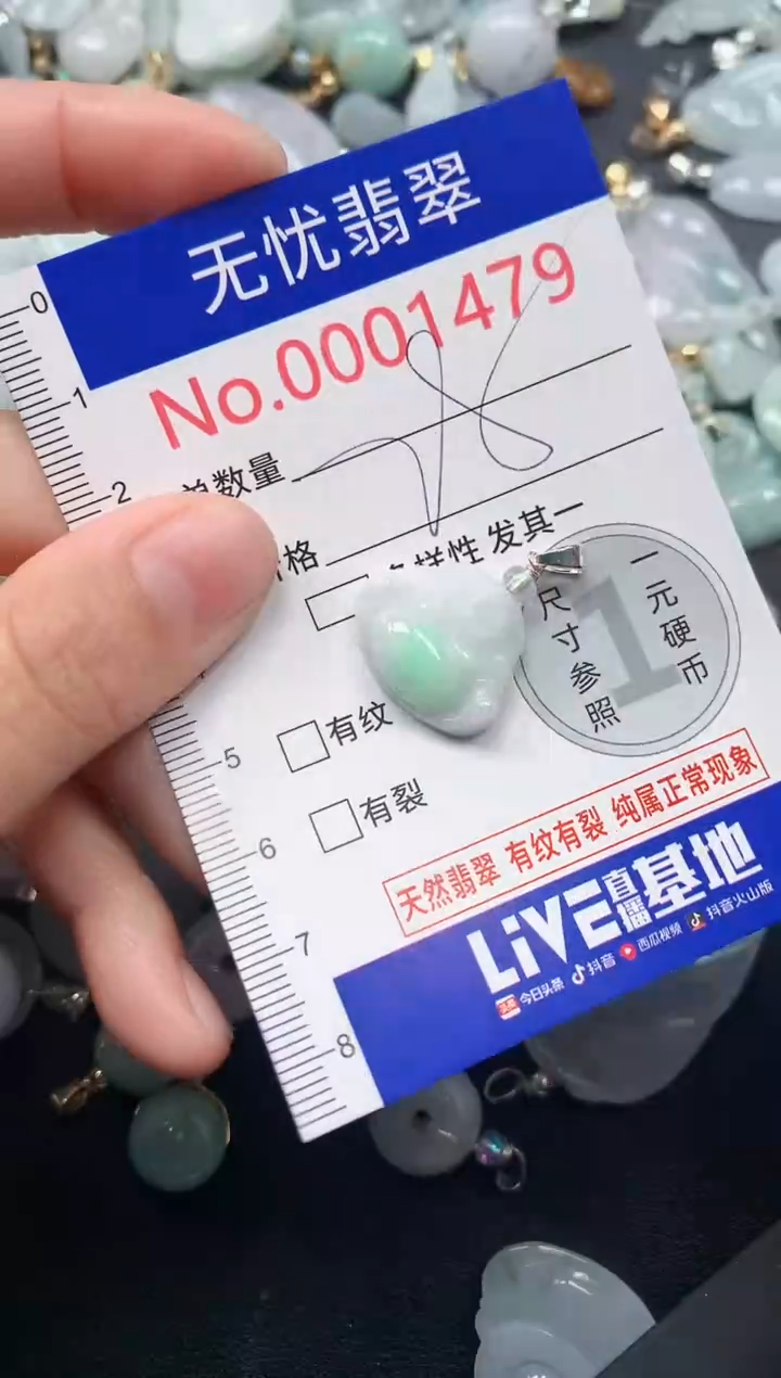 颈饰未镶嵌翡翠1479