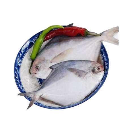 新鲜 银鲳鱼 约2斤左右一份