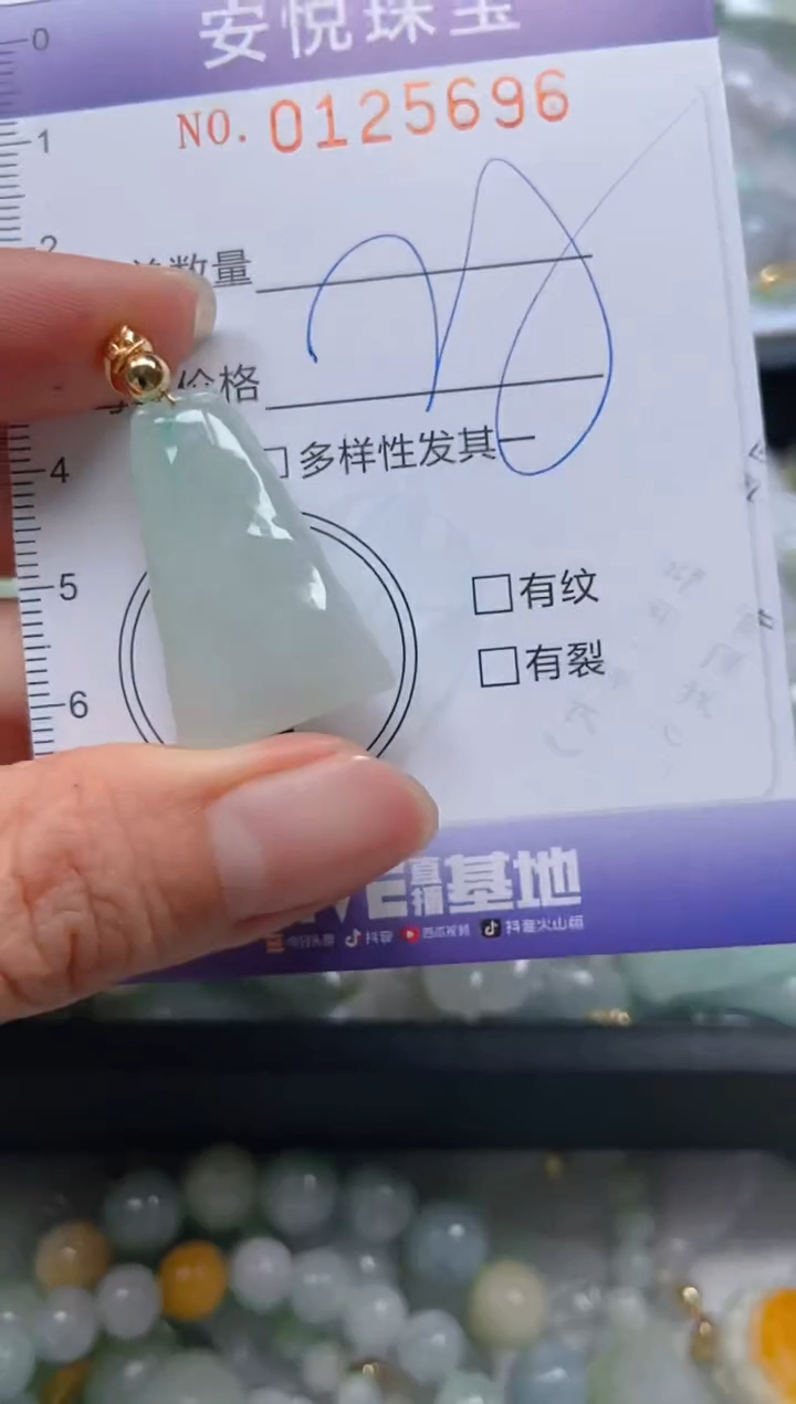 【闪购商品】翡翠颈饰未镶嵌闪购0125696
