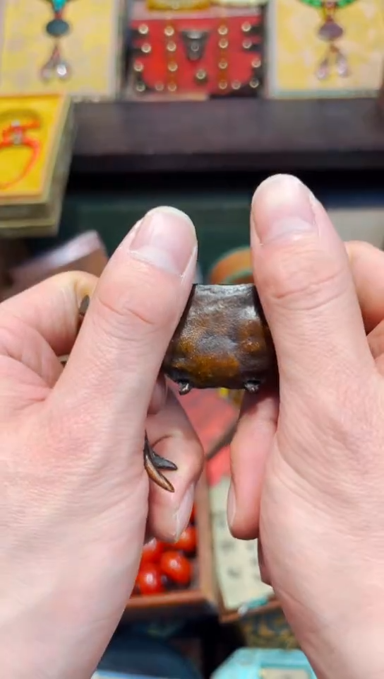 【闪购商品】B瑞哥专属高端精品26