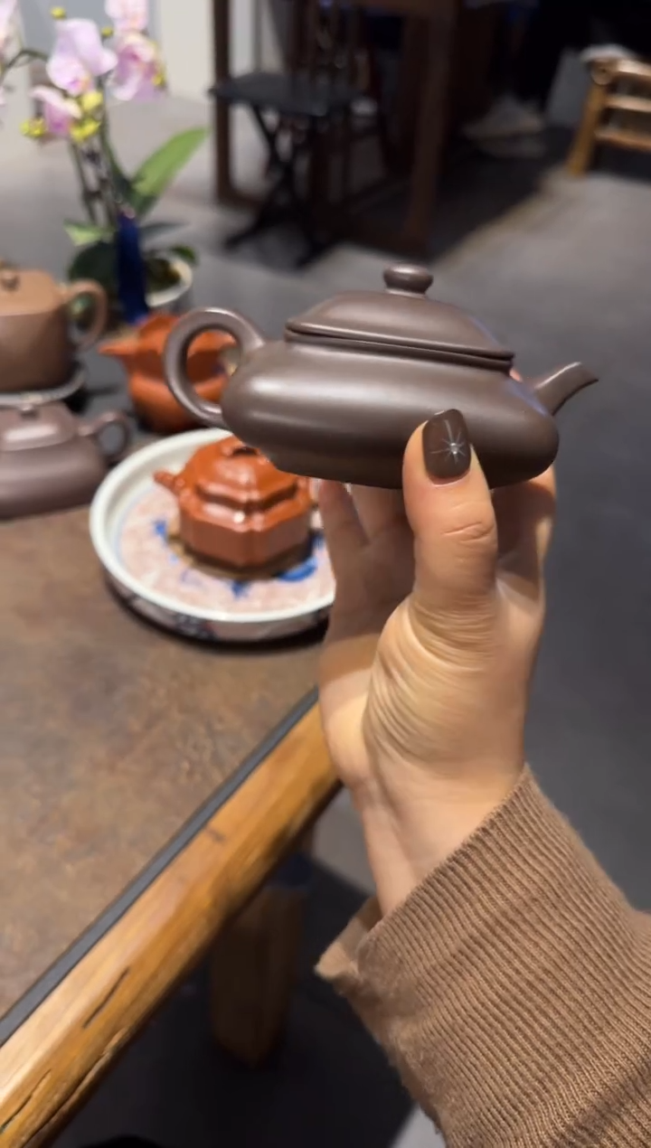 【闪购商品】紫砂茶壶寒灰老人