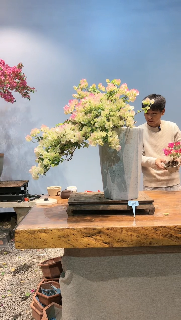 【闪购商品】AA918