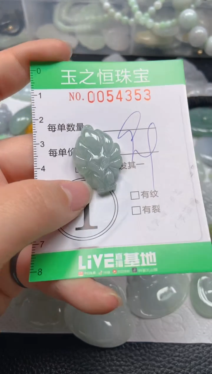 【闪购商品】翡翠未镶嵌颈饰闪购0054353