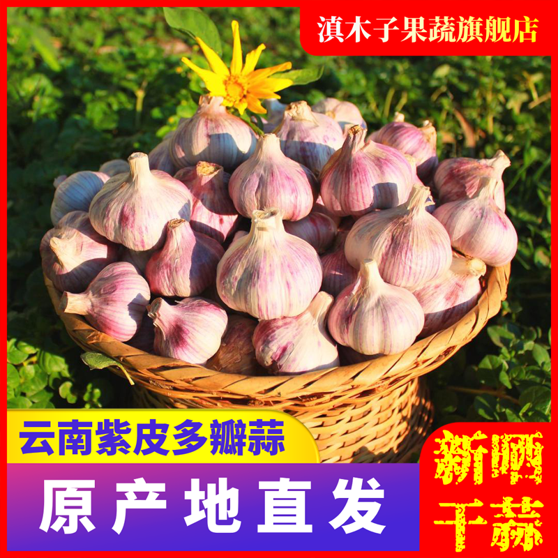滇木子云南紫皮多瓣蒜干蒜2/3/5/9斤紫皮蒜大蒜头特大腌蒜腊八蒜