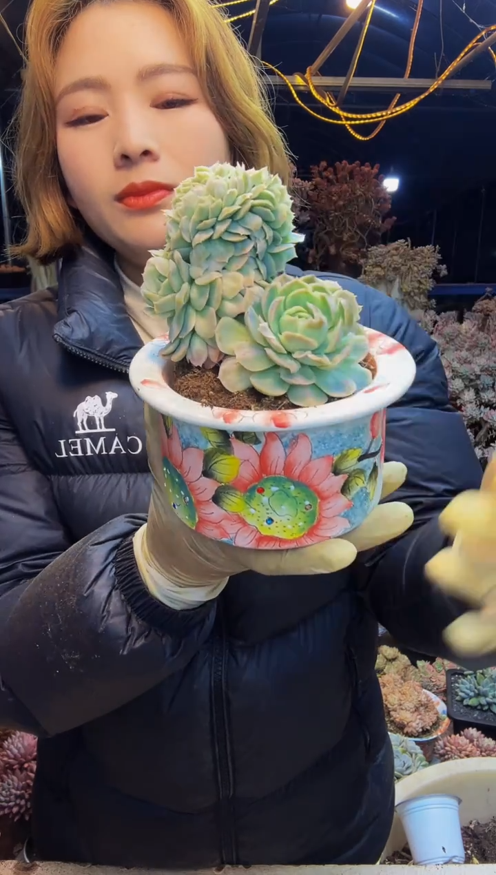 商****坊泡泡纱缀一物一拍带盆