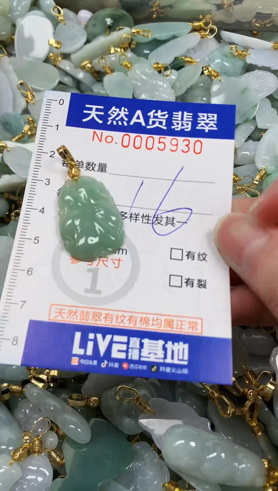 颈饰未镶嵌翡翠纯天然a货翡翠