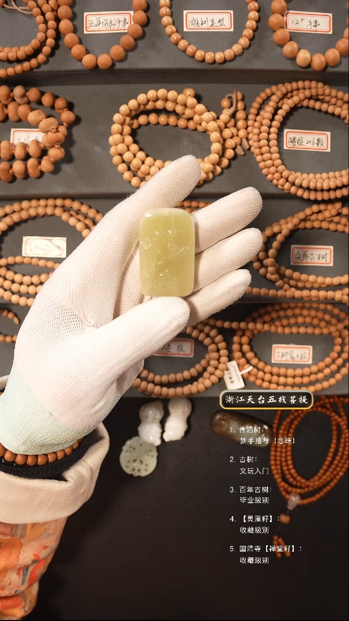 【闪购商品】五线菩提吊坠手串