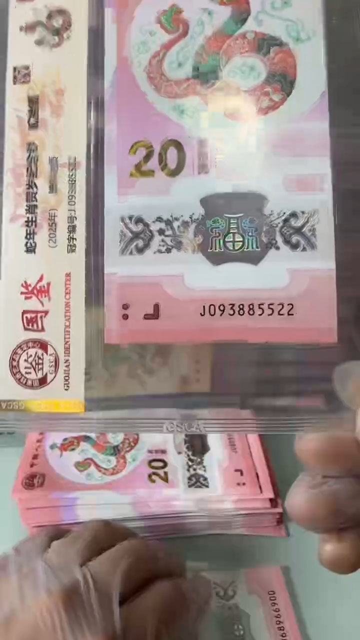 【闪购商品】塑料93885522-蛇钞单张！！