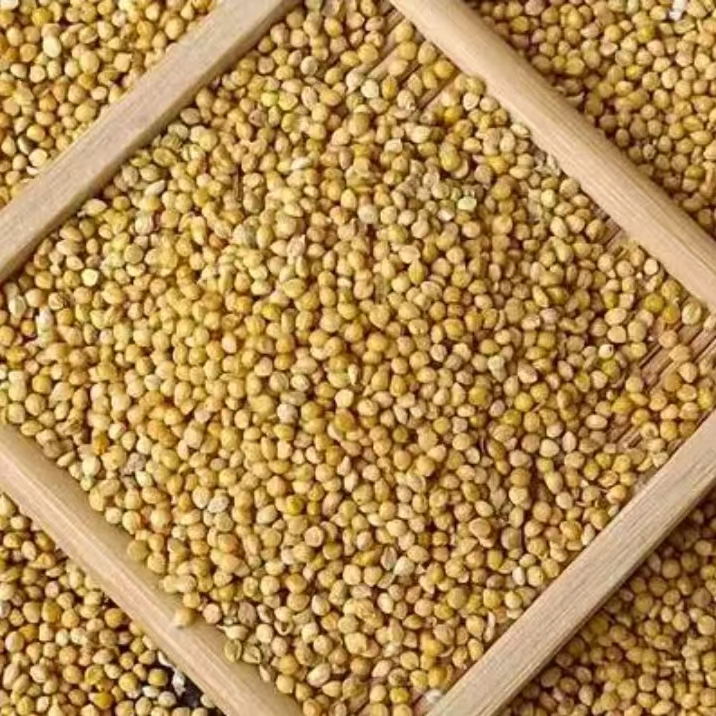 中小型鹦鹉粮食黄谷子虎皮玄凤牡丹带壳小米饲料