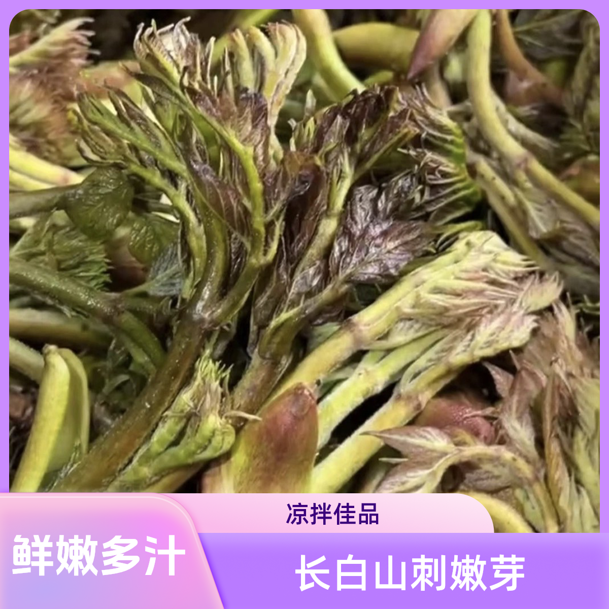 【梓宸优选】东北野生刺嫩芽/山野菜/刺老芽/刺龙芽焯水保鲜袋装