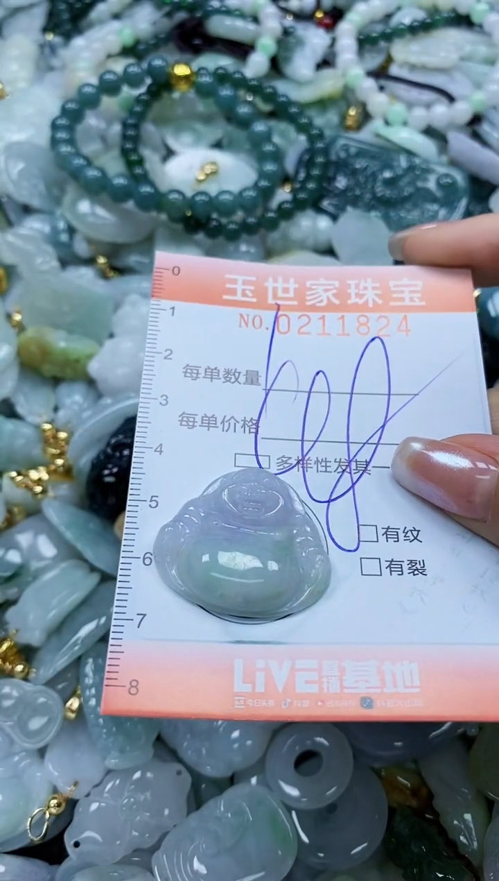 【闪购商品】翡翠颈饰未镶嵌闪购0211824