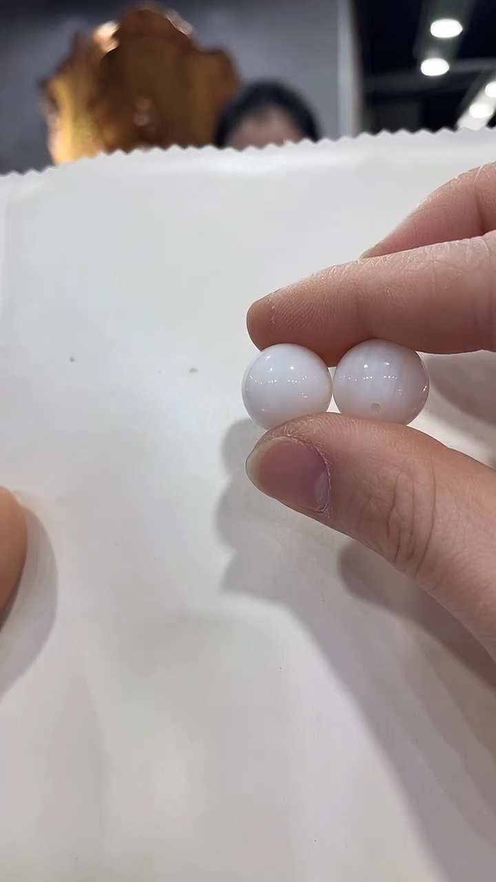 贝壳其他1（多样性发一）