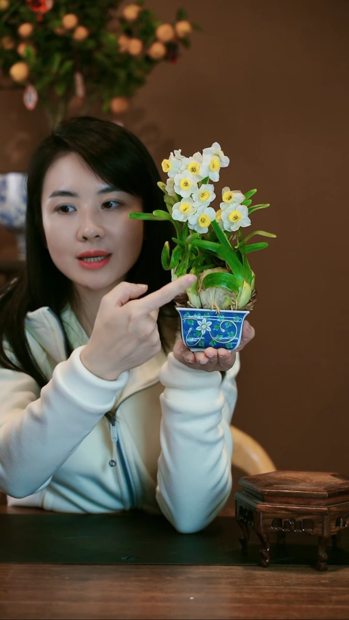 【闪购商品】盆景雕刻水仙
