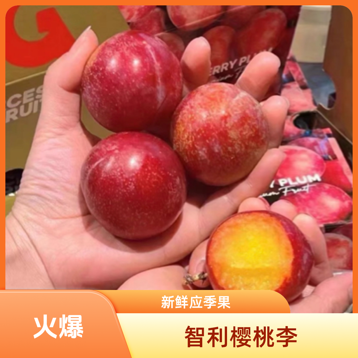 智利樱桃李2-5斤装新鲜应季水果李子 顺丰包邮