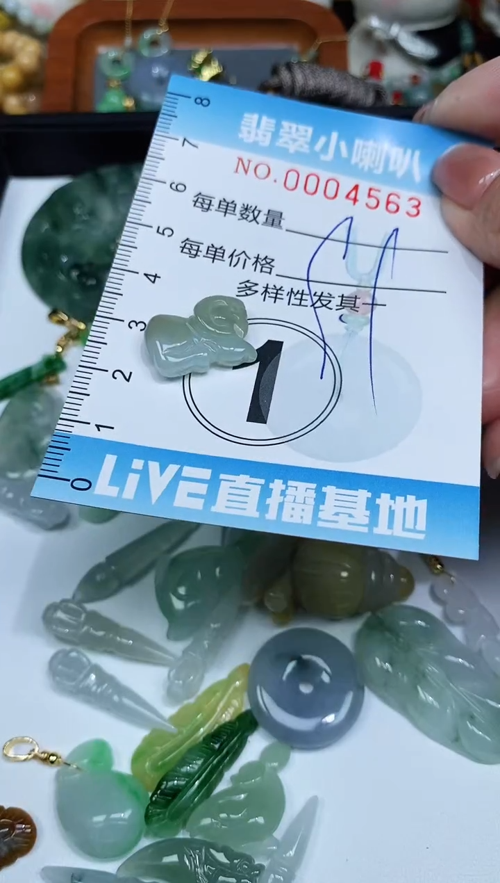 【闪购商品】翡翠颈饰未镶嵌闪购0004563