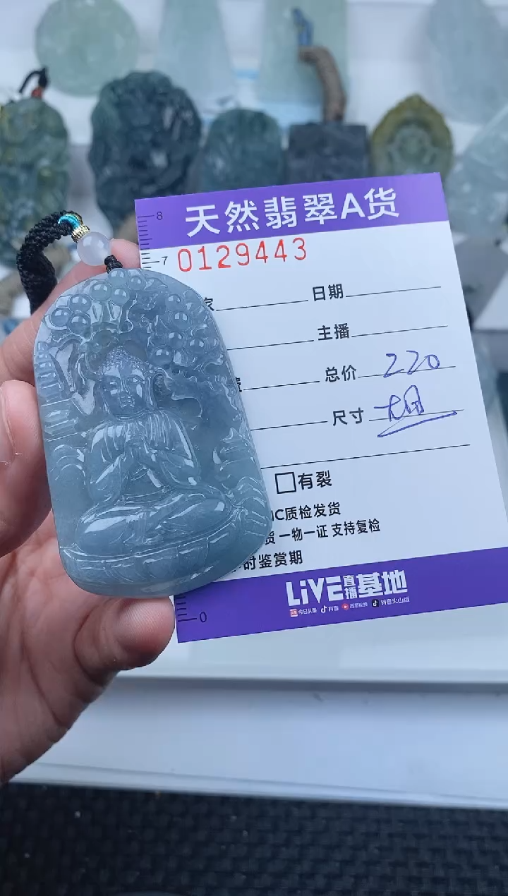 【闪购商品】翡翠颈饰未镶嵌         443