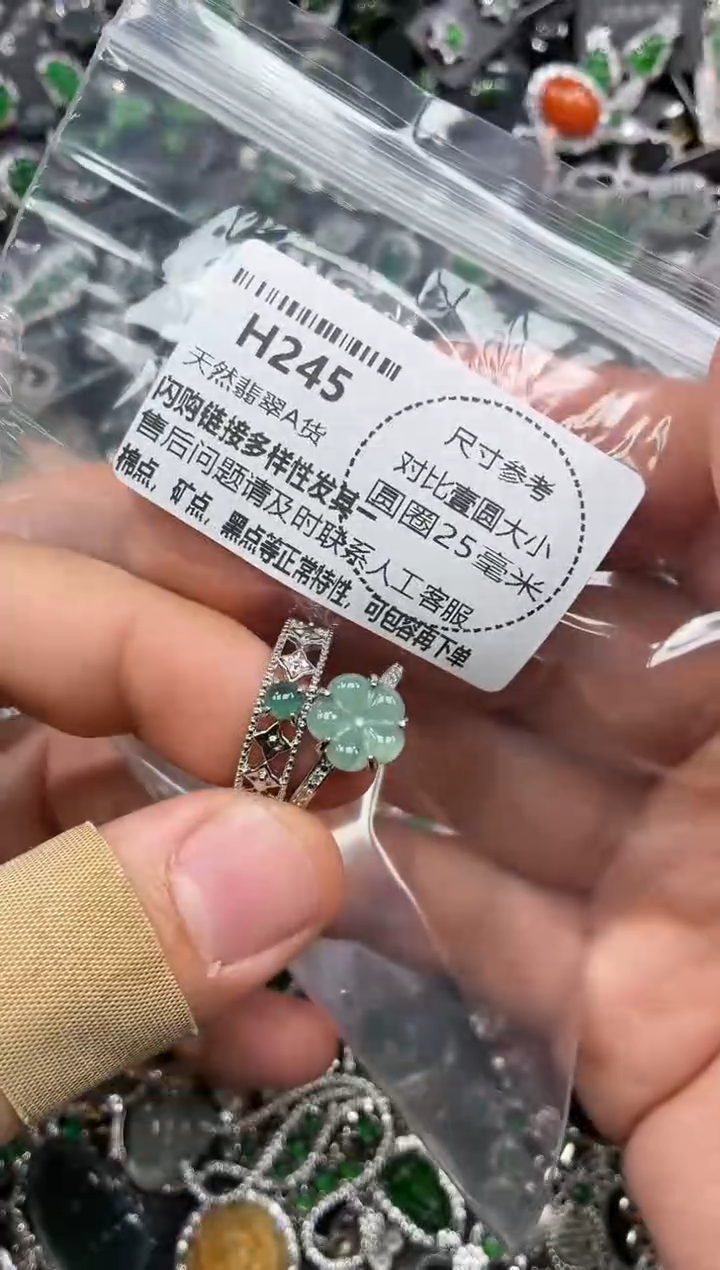 颈饰未镶嵌翡翠H245戒指