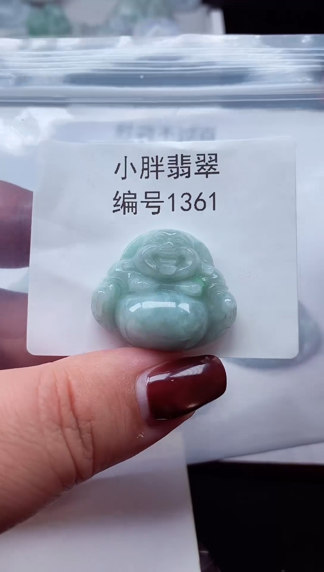 颈饰未镶嵌翡翠缅甸天然A货翡翠1361