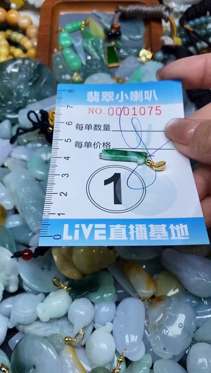 【闪购商品】翡翠颈饰未镶嵌闪购0001075