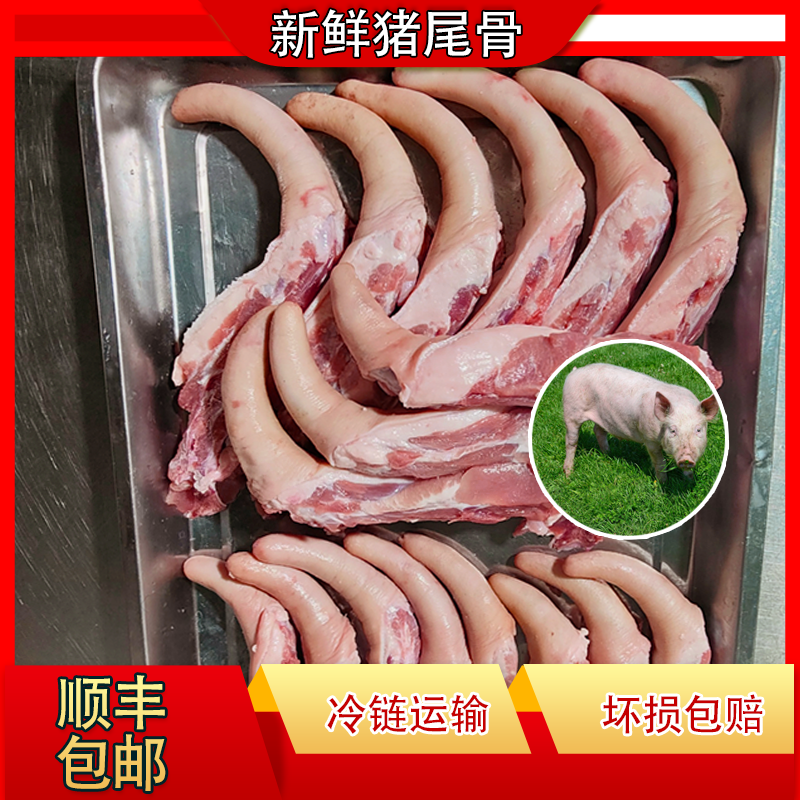 新鲜猪尾骨带短尾 多肉优质煲汤食材 顺丰包邮 净重5斤