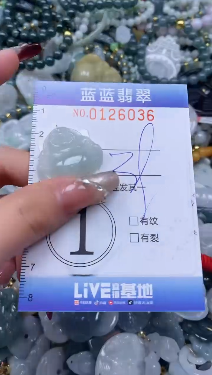 【闪购商品】翡翠颈饰未镶嵌闪购0126036