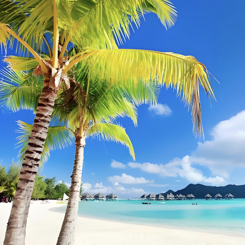 真实大自然风景优美 碧海蓝天金色沙滩秀丽风光美如画拼图