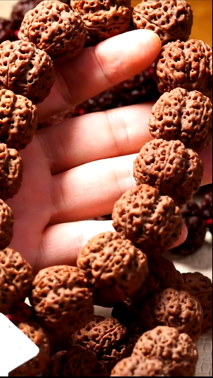 吊坠金刚菩提玺呈枝蓝•精挑级芒龙24mm