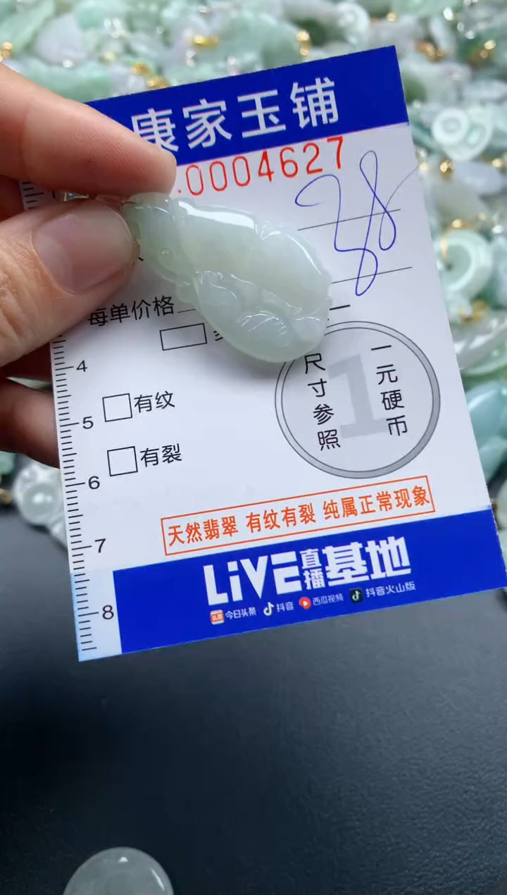 颈饰未镶嵌翡翠4627