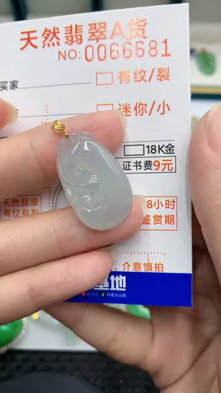 【闪购商品】翡翠颈饰18K金镶嵌            8