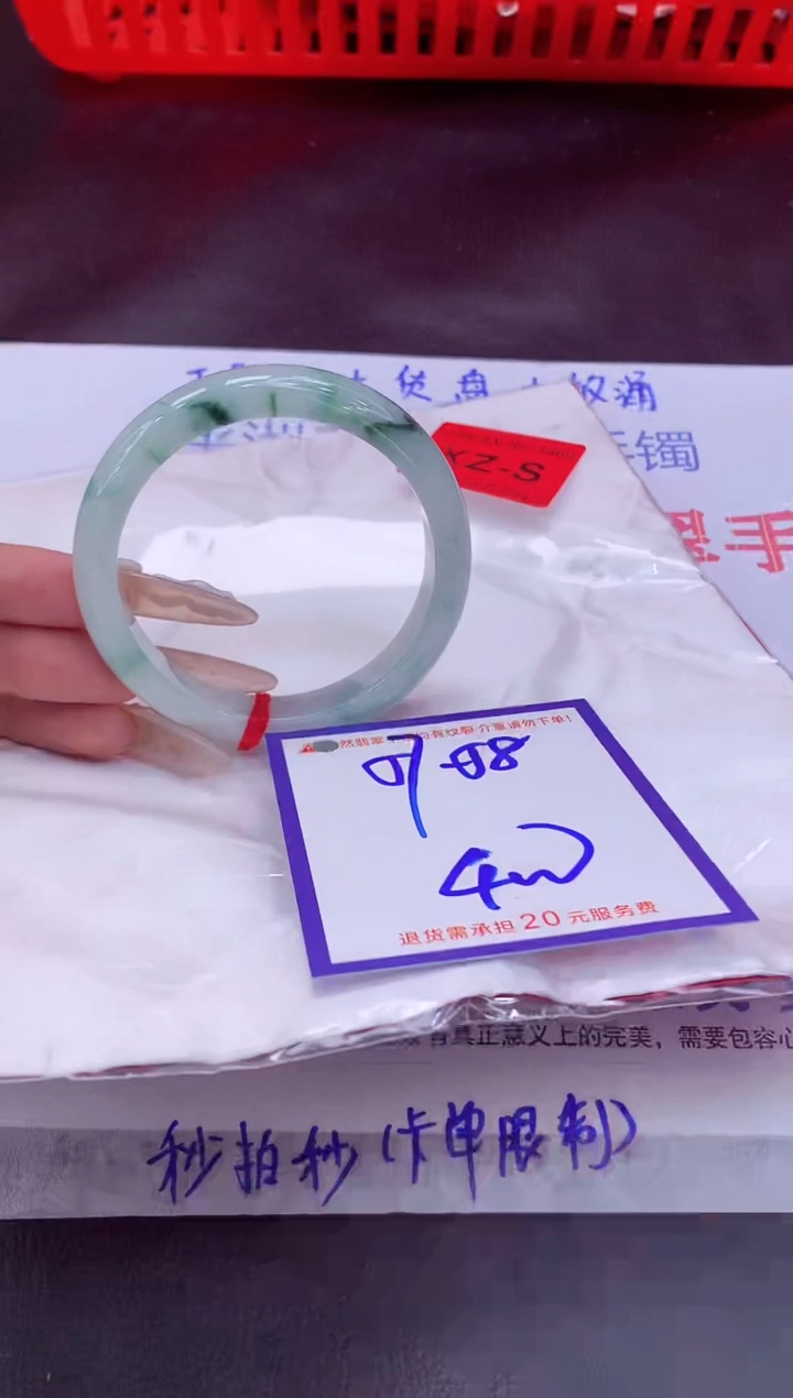 未镶嵌手镯翡翠11111111