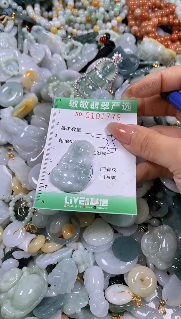 【闪购商品】翡翠颈饰未镶嵌闪购链接0101779