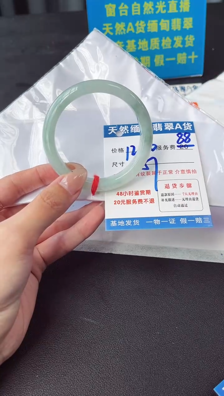 未镶嵌手镯翡翠11111