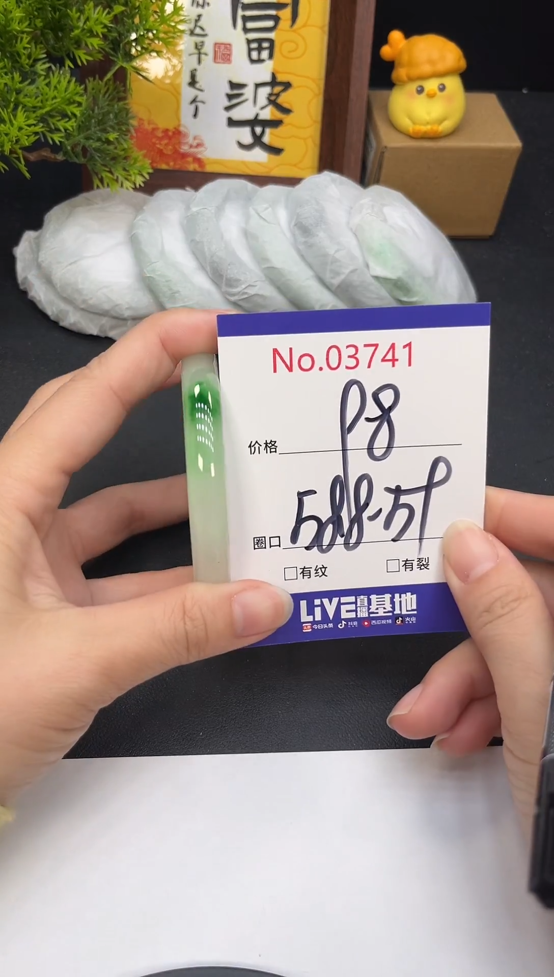 未镶嵌手镯翡翠3741