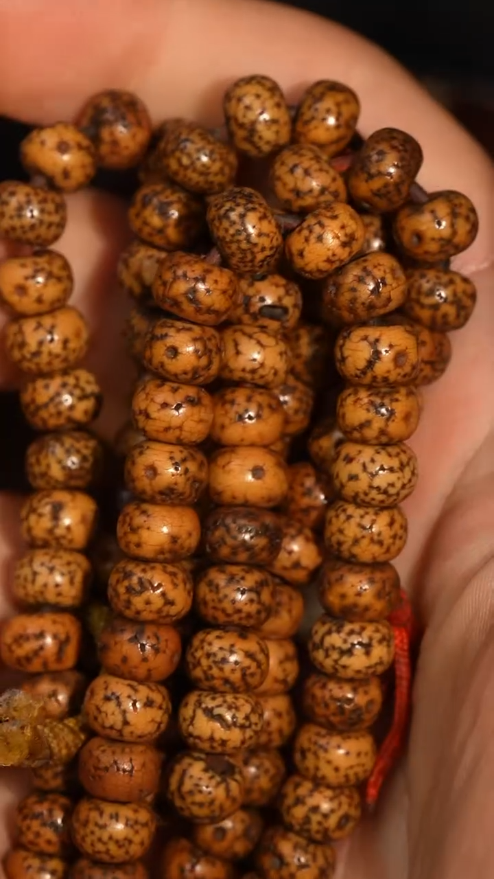 冲赛康胡子哥，藏传念珠241