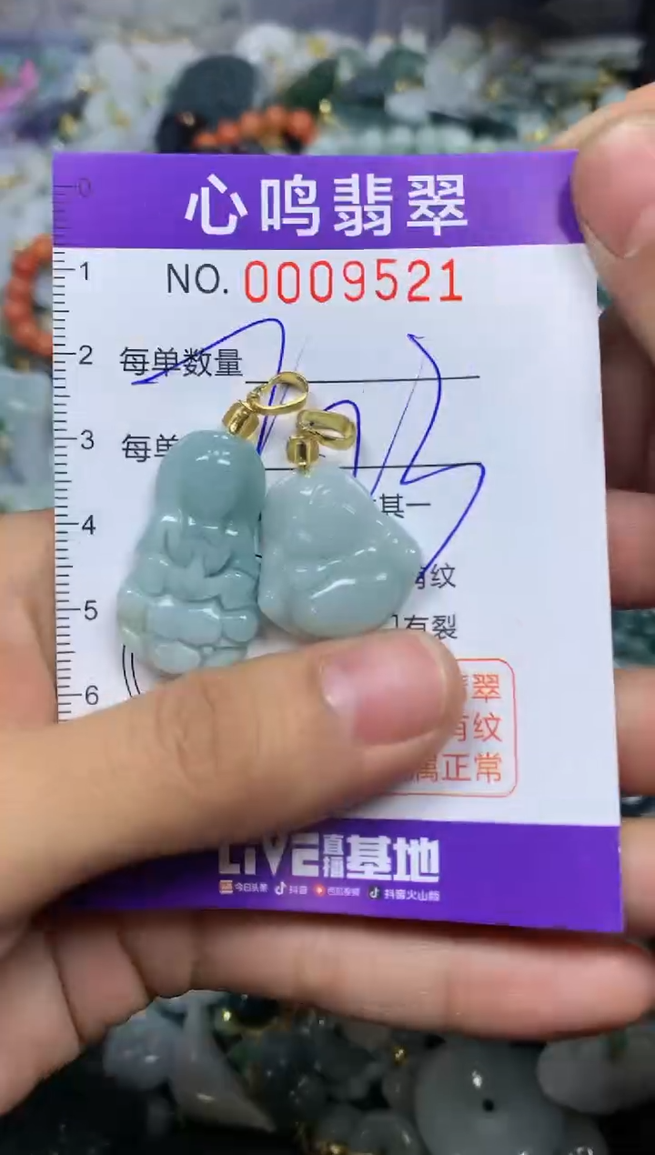 【闪购商品】翡翠颈饰未镶嵌闪购009521