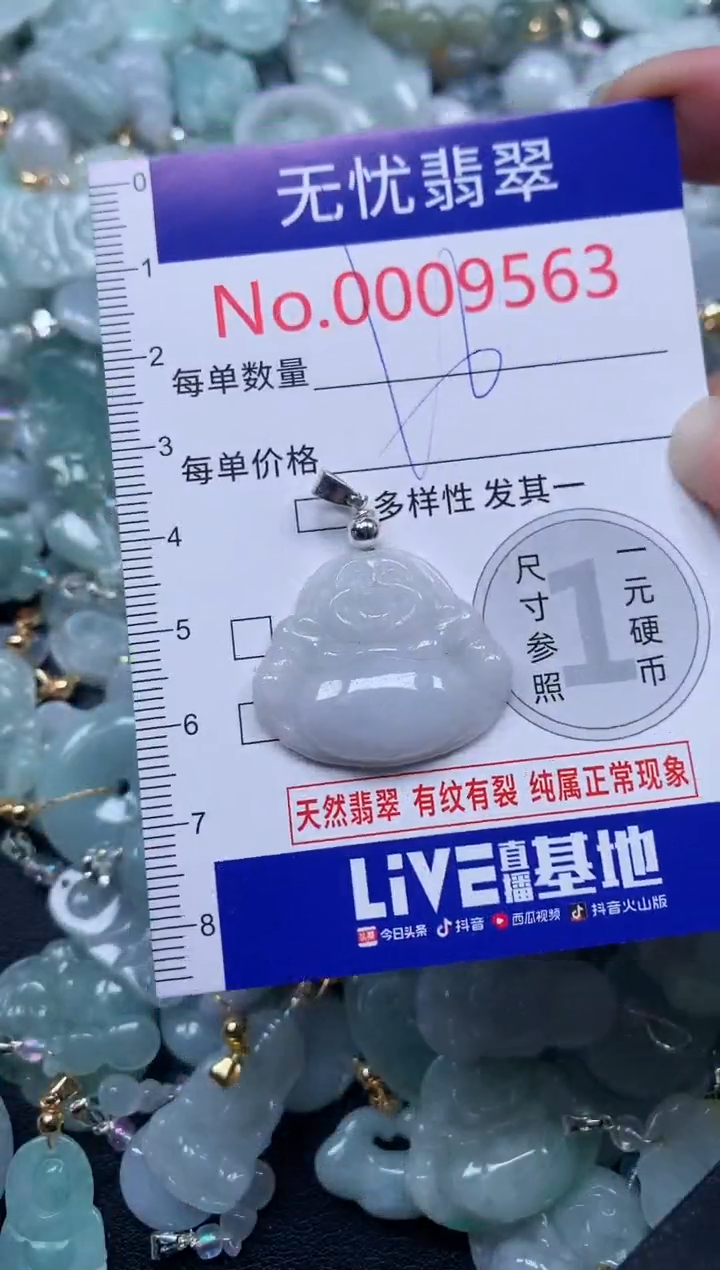 颈饰未镶嵌翡翠9563